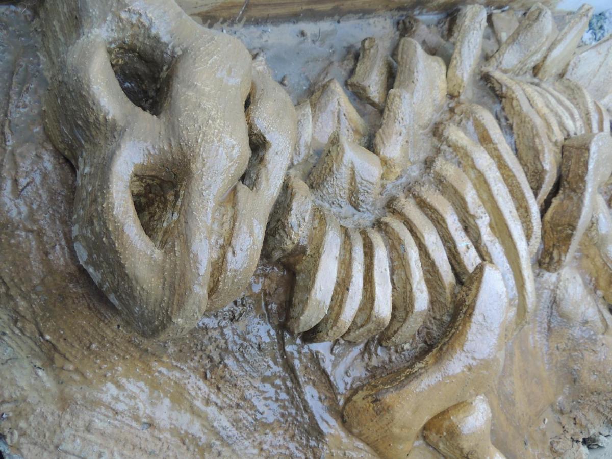 Hotel Recanto Dos Dinossauros Penha  Zewnętrze zdjęcie